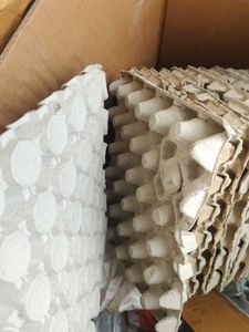 Egg Crate Tray Pack Of 20