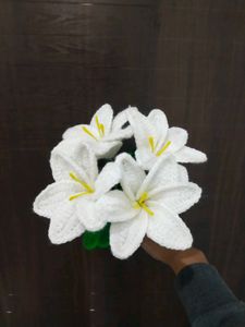 Viral Crochet Lilly 🤍