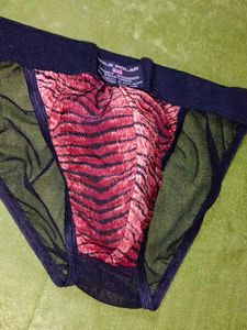 Men Pole Polar Transparent Tiger Print Briefs
