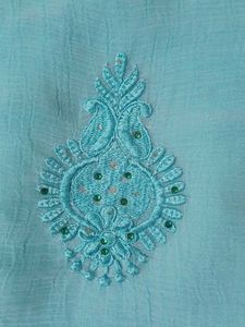 Aqua Embroidered Saree