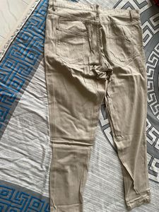 Formal Pant