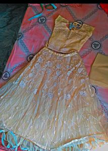 Elegant Yellow Embroidered Lehenga Choli