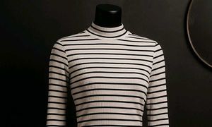 🎊sale🎉SHAIN Striped Turtleneck Top