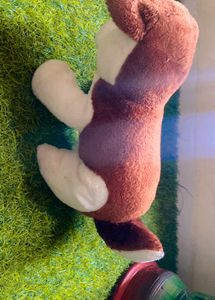 Dog Soft Toy