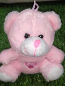Sweet Mini Teddy