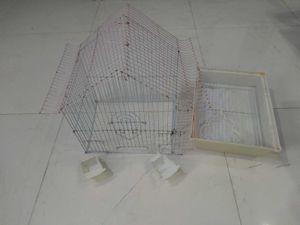 Bird Cage
