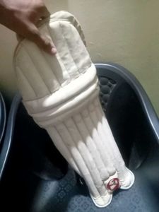 Campus Cricket Batting Pads