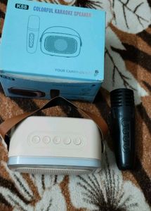 Karaoke Speaker