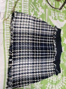 Zara Front Zip Skirt