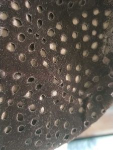 Brown Velvet Dot Dress
