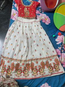 Red Embroidered Blouse Lehenga