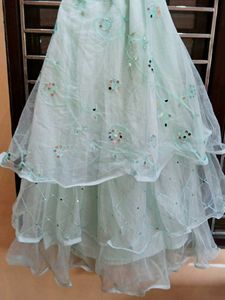 Mint Green Embellished Lehenga