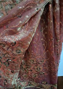 Beautiful Organza Saree