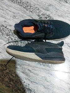 Campus Sport Shoes