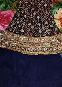 Elegant Embroidered Ethnic Dress