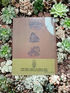 Mathematics Class 8 NCERT