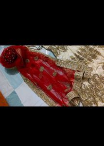 Elegant Lehenga Choli Set