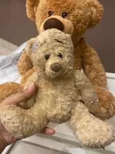 Combo Of Teddy Bear 🧸