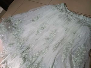 Mint Green Embroidered Lehenga