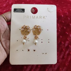Gold Covering Earrings