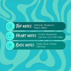 Secret Temptation Aqua Perfume