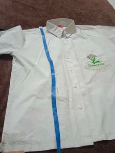 Greendale School Uniform Shirt , Little Stain