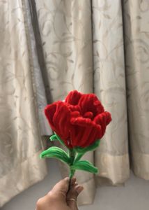 Rose 🌹