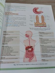 Class 10 CBSE Biology Reference Textbook