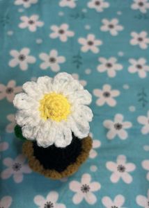 Crochet Flower With Pot