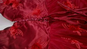Stunning Red Tulle Formal Gown