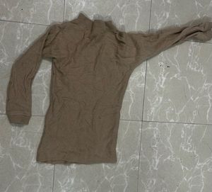 Beige Long Sleeve Hineck