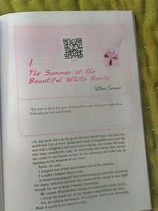 Class 11 English Supplementary Reader, Snapshots