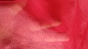 Ombre Dual Tone Organza Saree Without Blouse