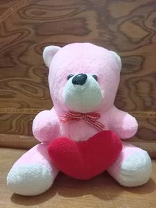Cute Premium Soft Teddy Bears