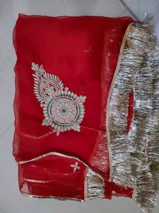 Beautiful Rajputi Poshak