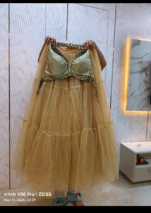 Heavy Flared Backless Choli Lehnga