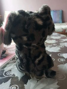Mumuso Cute Baby Doffodil-Elephant