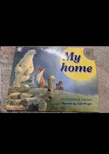 5 Books for Kids