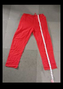 Plazo Pant
