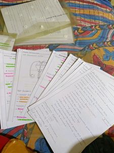 Handwritten Class 12 Zoology Notes
