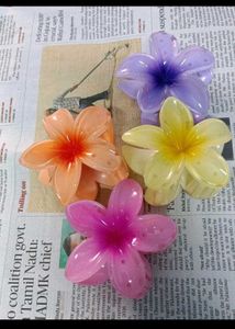 Plumeria Claws