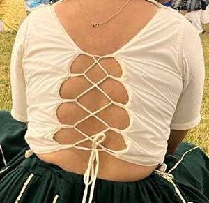 blouse and choli