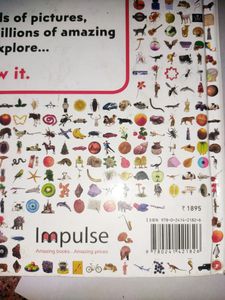 The Visual Encyclopedia Of Everything (Books For K