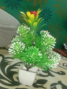 Flower Pots
