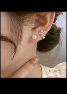 Beautiful Western Earing