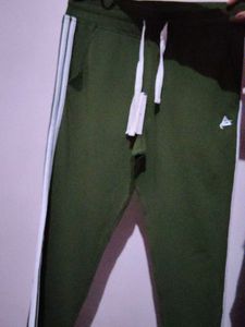 Anti Culture Olive Lower