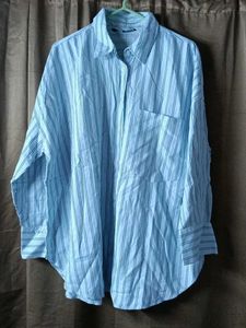 Striped Button Down Shirt