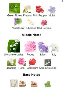 Combo Estee Lauder Pleasures around 85/100ml+ A