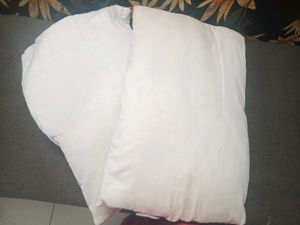 Combo Two Pillows In Good Condition