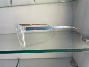 Stylish Clear Frame Glasses